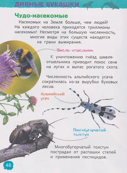 Красная книга мира. Энциклопедия для детского сада - фото 5