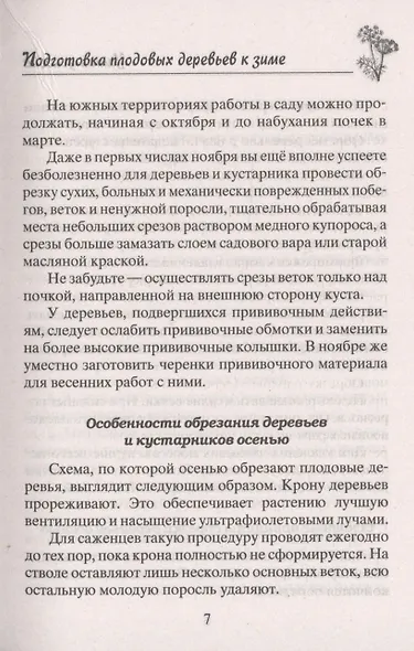 Осенние работы в саду и огороде. Защита от болезней, посадки, удобрения, уборка, обрезка, подготовка - фото 5