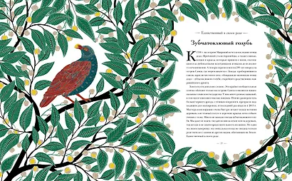 Книга исчезающих животных для неравнодушных сердец - фото 5