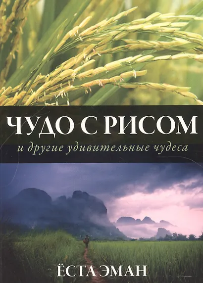 Чудо с рисом и другие удивительные чудеса - фото 1