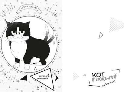 Кот и поцелуй. Том 3 - фото 4