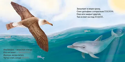 Загадки-рифмы. Кто как спит - фото 4