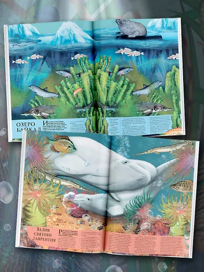 Подводный мир: Исследуй 15 различных акваторий Земли - фото 4