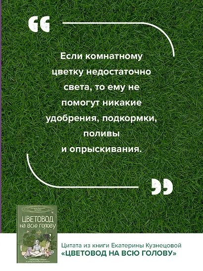 Цветовод на всю голову. Шпаргалка-трекер по уходу за комнатными растениями - фото 11