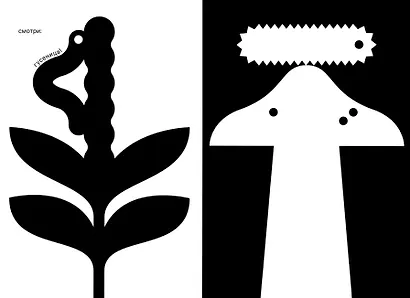 Как гусеница становится бабочкой - фото 3