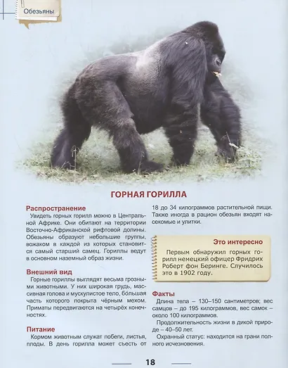 ЭНЦИКЛОПЕДИЯ ДЛЯ ДЕТЕЙ. ОБЕЗЬЯНЫ - фото 7
