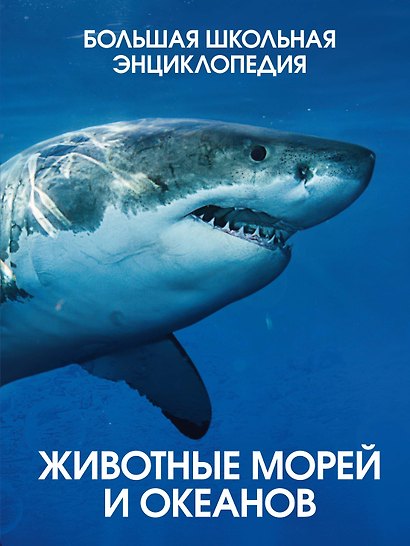 Животные морей и океанов. Большая школьная энциклопедия - фото 1