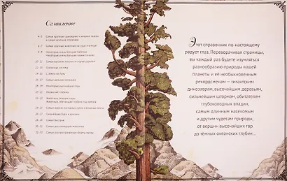 Высокая гора. Глубокий океан. Иллюстрированный сборник чудес природы - фото 2