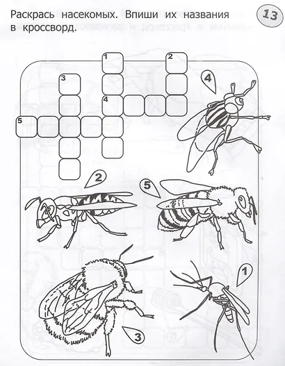 Кроссворды-раскраски по окружающему миру для детей 7-10 лет - фото 5