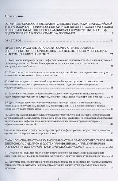 Электронное судопроизводство по преступлениям в сфере экономики (научно-практические аспекты). Монография - фото 2
