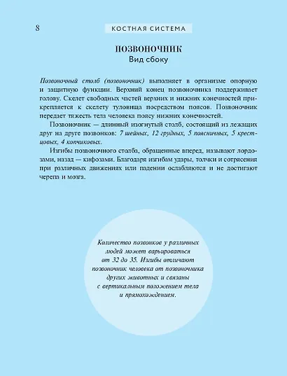 Популярный атлас анатомии человека. Анатомия Грея. 200 классических иллюстраций - фото 12