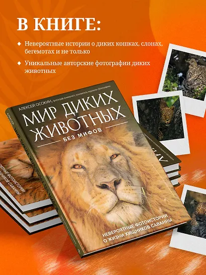 Мир диких животных без мифов. Невероятные фотоистории о жизни хищников саванны - фото 6