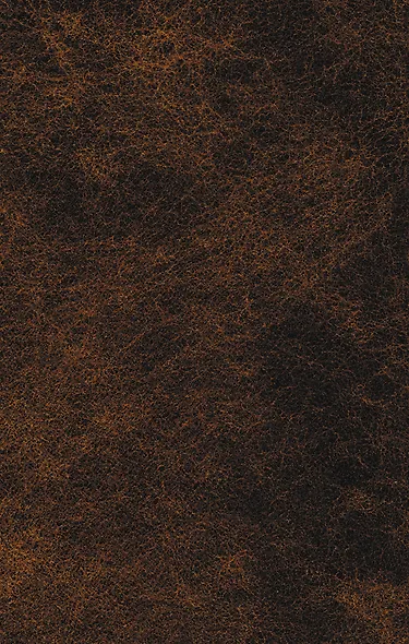 Морфий : повести, рассказы, пьесы - фото 2