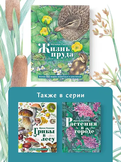 Жизнь пруда - фото 5