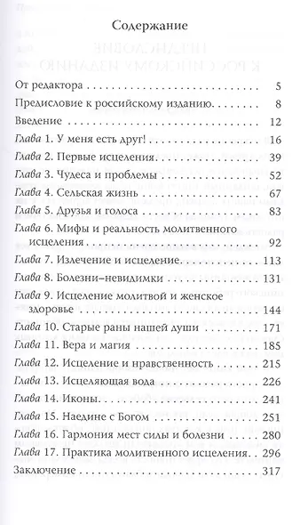 Такая работа Целитель Практика молитвенного исцеления (м) Новиков - фото 2