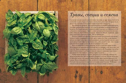 Элементы питания - фото 4