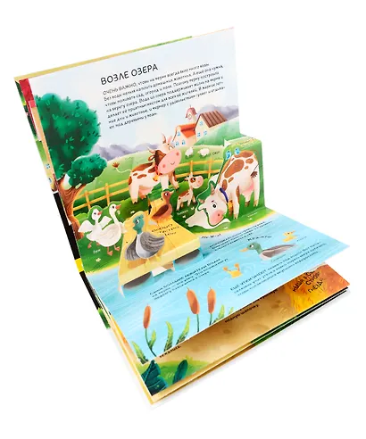 Домашние животные: книжка- панорамка - фото 3