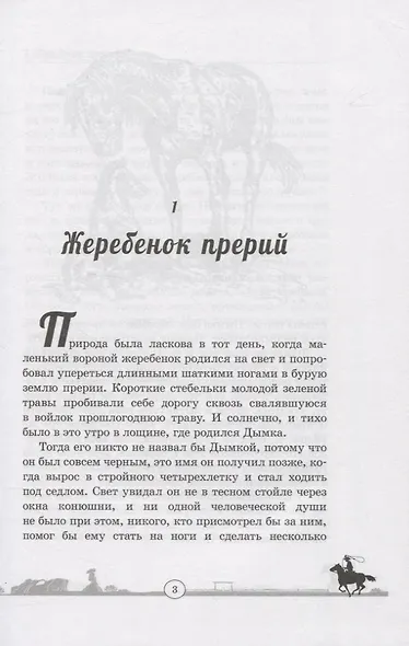 Дымка. Конь ковбоя - фото 3