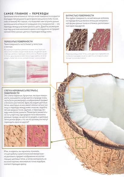 Волшебный мир Анны Мэйсон. Рисуем природу акварелью: Все секреты реалистичной живописи - фото 5