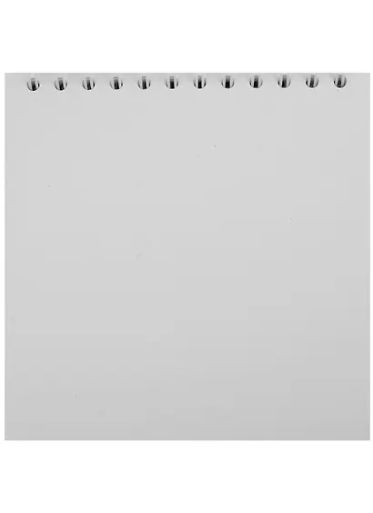 Скетчбук 172*172мм 40л "Hippie", ромашки, тв.переплет, ламинация, спираль, бумага 190г/м2 - фото 2