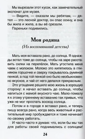 Кладовая солнца. Рассказы - фото 5