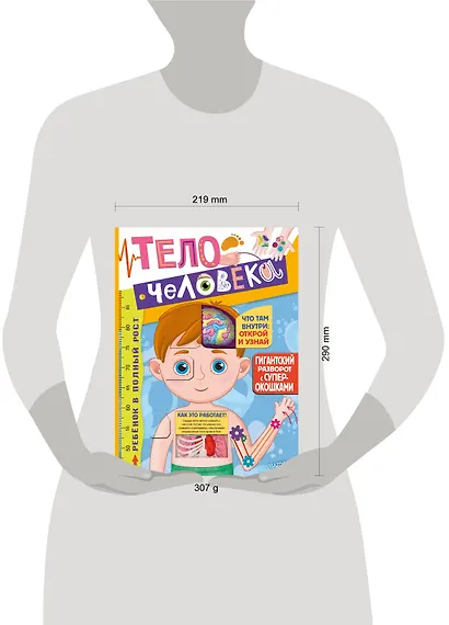 Тело человека - фото 10