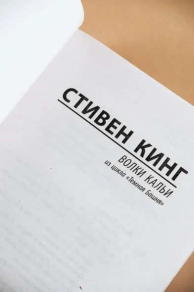 Волки Кальи: из цикла "Темная Башня" - фото 6