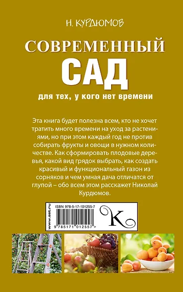 Современный сад для тех, у кого нет времени - фото 2