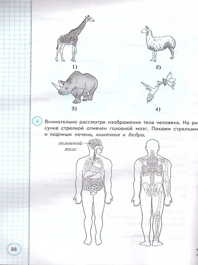 ВПР. Окружающий мир. 4 класс. Типовые задания. 10 вариантов заданий. Подробные критерии оценивания. Ответы - фото 4