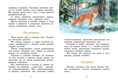 Год в лесу. Рассказы о природе - фото 7