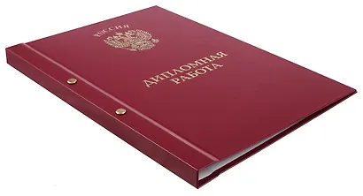 Обложка "Дипломный проект" ассорти, 2 отверстия, бумвинил - фото 3