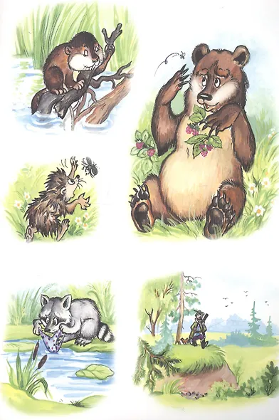 Волшебные очки - фото 4