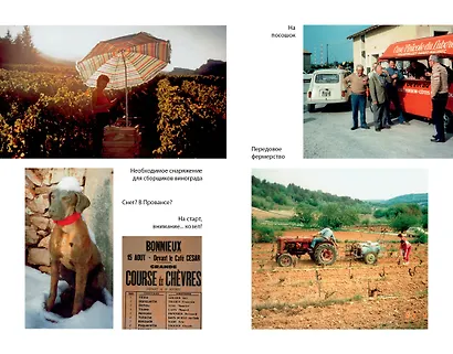 Мои двадцать пять лет в Провансе - фото 4