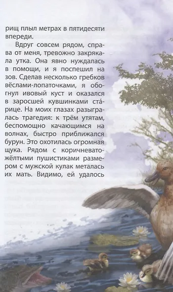 Охотничьи сказки. Познавательные сказки-рассказки о природе для любознательных детей - фото 3