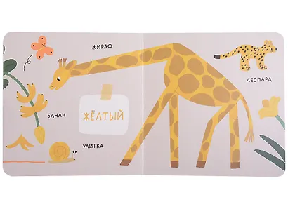 Цвета. Природа - фото 4