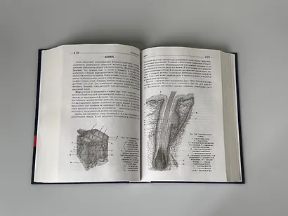 Биология для поступающих в вузы - фото 13