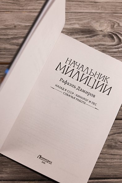 Начальник милиции (сборник) - фото 7