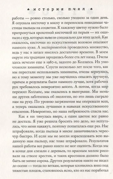 История пчёл - фото 2