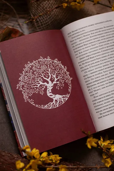 Слово Вирявы - фото 13