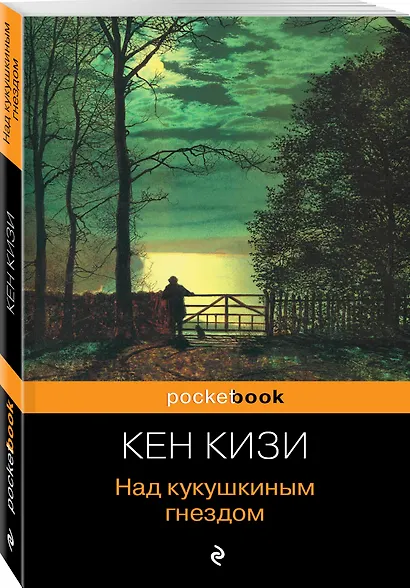Над кукушкиным гнездом : роман - фото 3