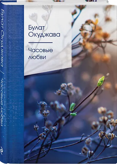 Часовые любви - фото 3