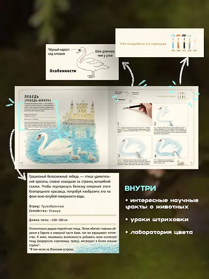 Рисуем милых птиц - фото 5