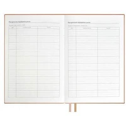 Ежедневник учителя А5 160л "ШЕВРЕТ РОЗОВЫЙ" кожзам, блинт.тисн., цветн.срез, два ляссе, закладка из иск.кожи - фото 10