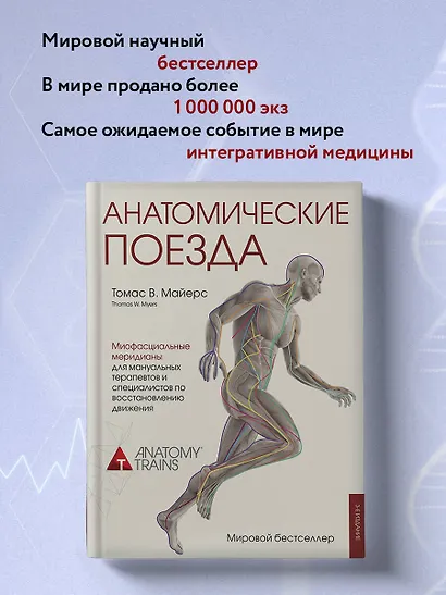 Анатомические поезда. 3-е издание - фото 4