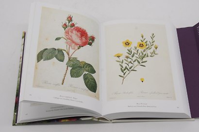 Redoute. Book of Flowers: 40th Anniversary Edition - фото 5