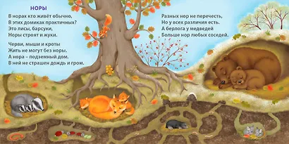 Удивительные дома животных. Книжки-картонки - фото 7