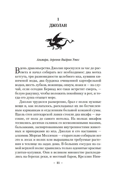 Драконы Терры. Книга 1. Кровь изгнанника - фото 11