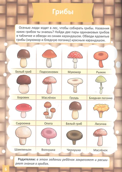 Окружающий мир (4-5 лет) - фото 4