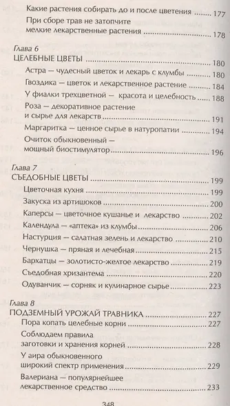Наши дачные лекари - живые витамины. Овощные и дикорастущие растения - фото 6