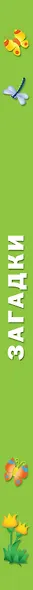 Загадки - фото 4